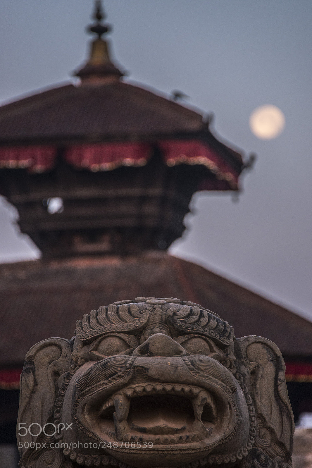 Nikon D610 sample photo. Laugh photography