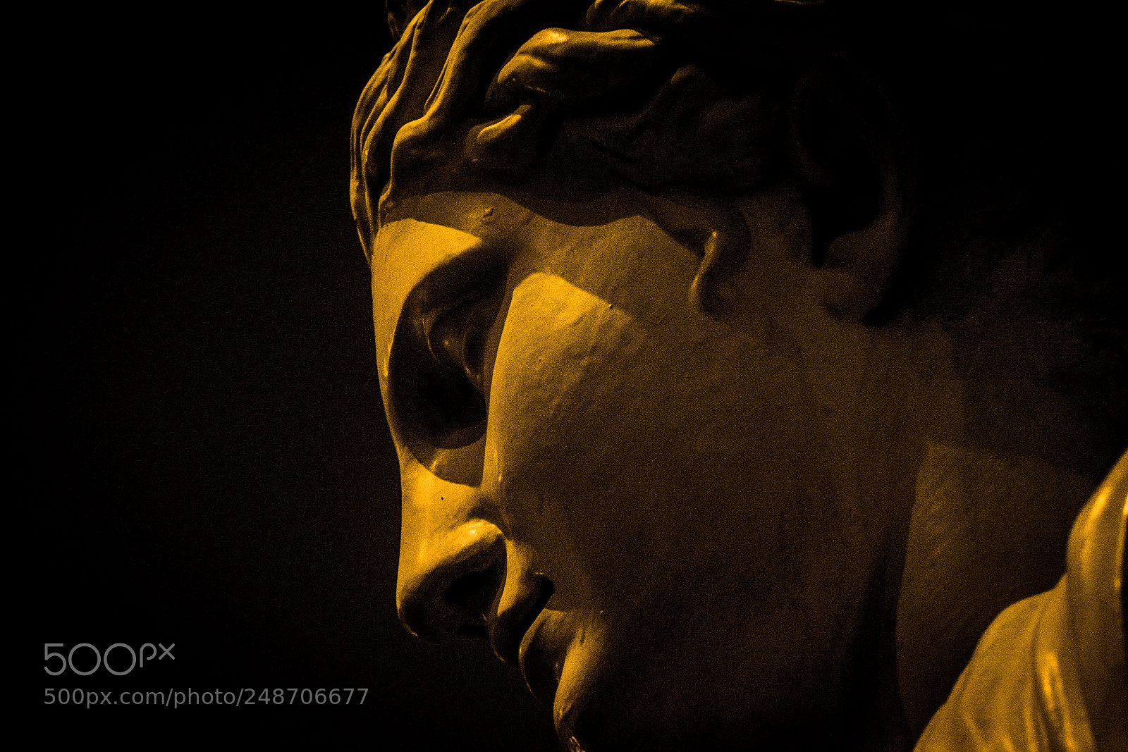 Nikon D5500 sample photo. Sharing the arts photography