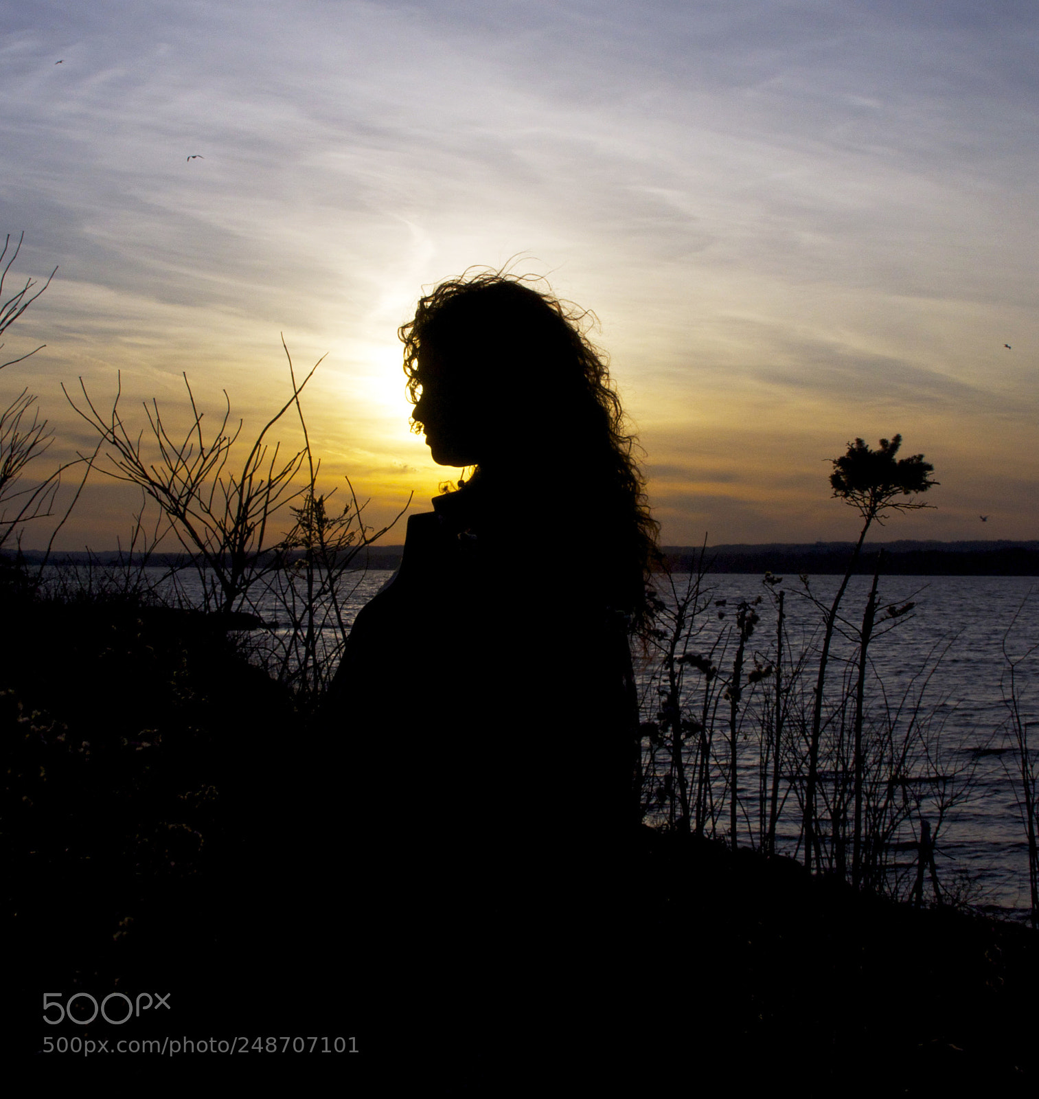 Nikon D90 sample photo. Golden hour photography