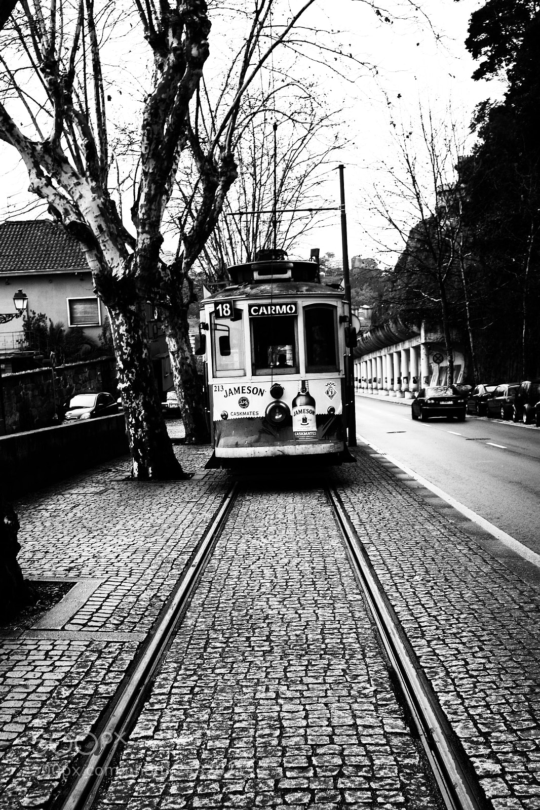 Canon EOS 5D sample photo. ...para onde vais?... photography