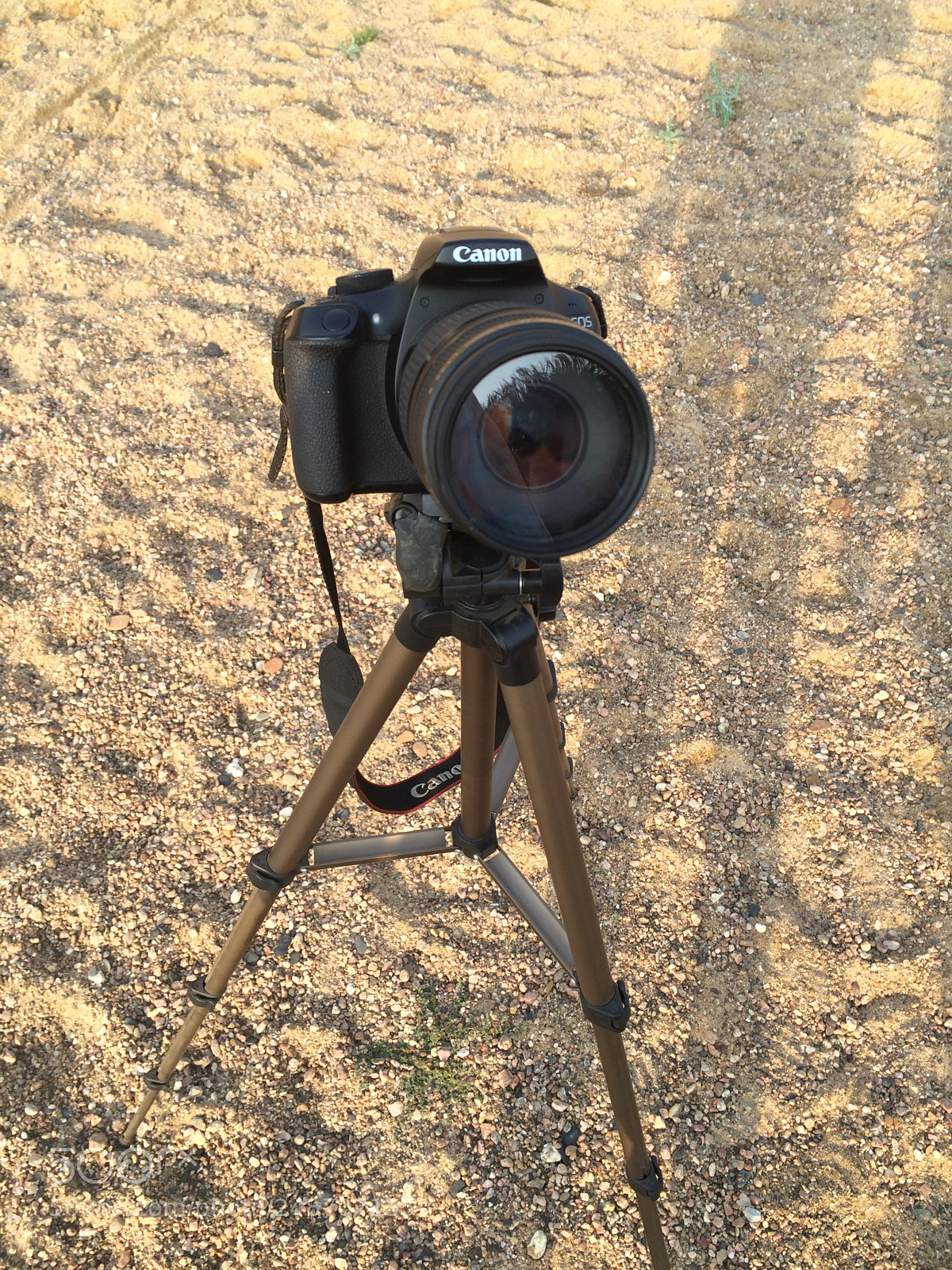 Apple iPhone 5s sample photo. Img photography