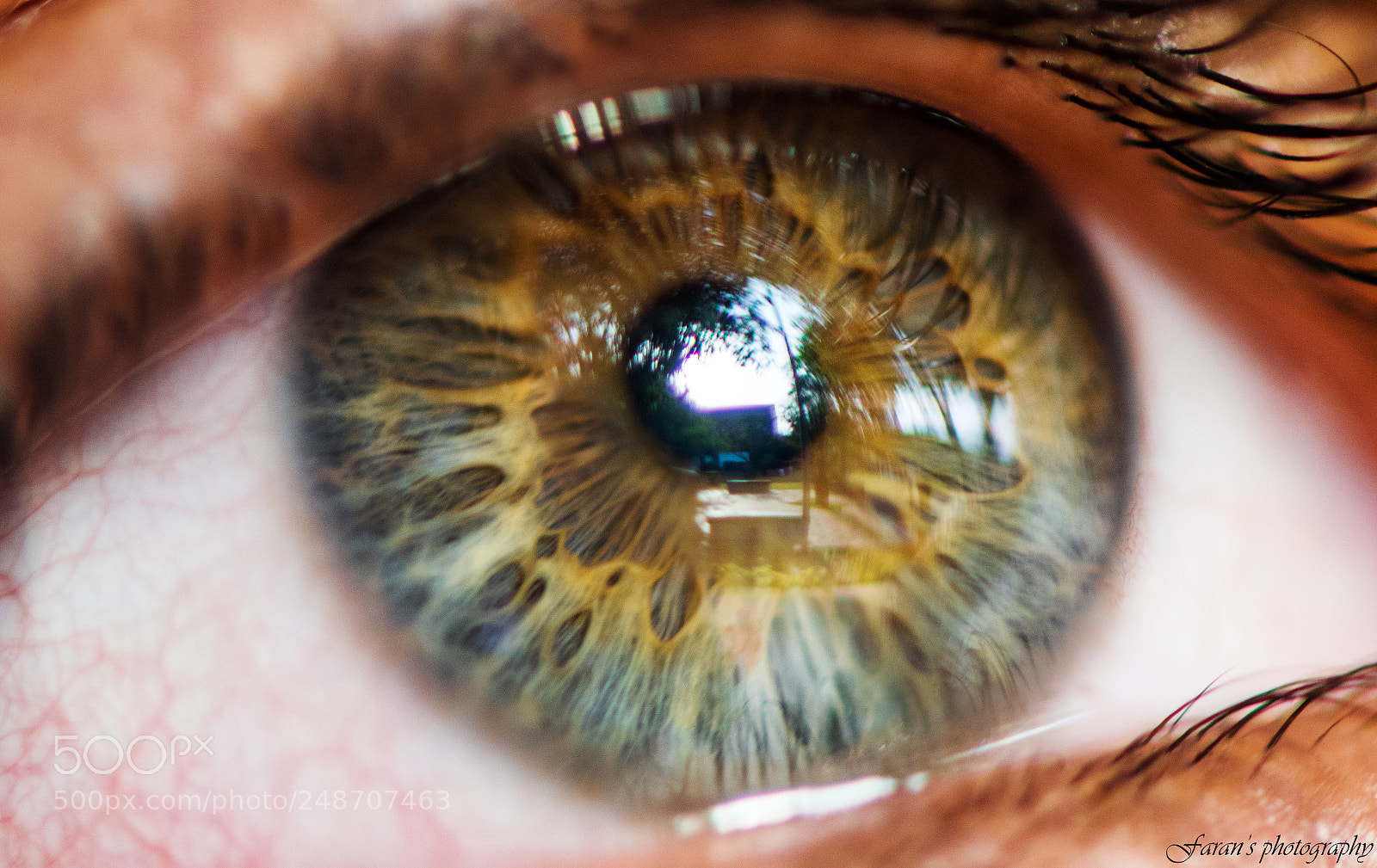 Nikon D500 sample photo. Reflection photography