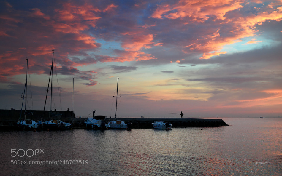 Samsung NX30 sample photo. ... photography