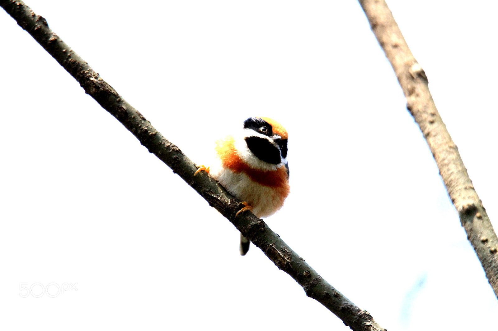 Canon EOS 7D sample photo. Lovely photography