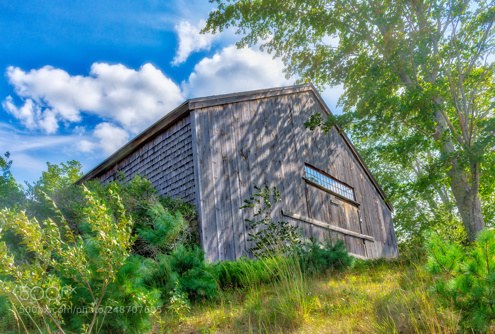 Nikon D7200 sample photo. Midsummer daydream photography