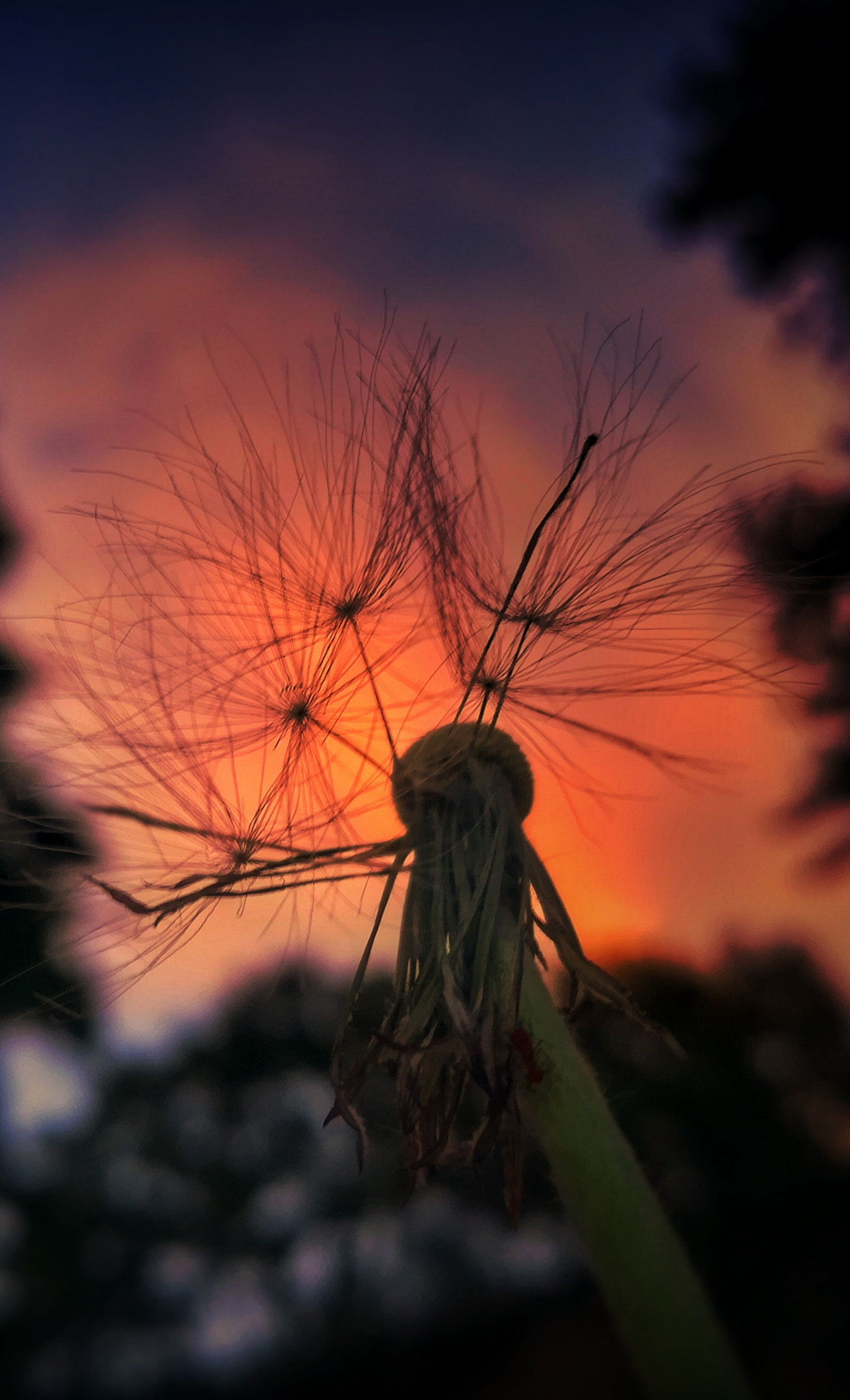 HUAWEI MATE 9 LITE sample photo. Sunset photography
