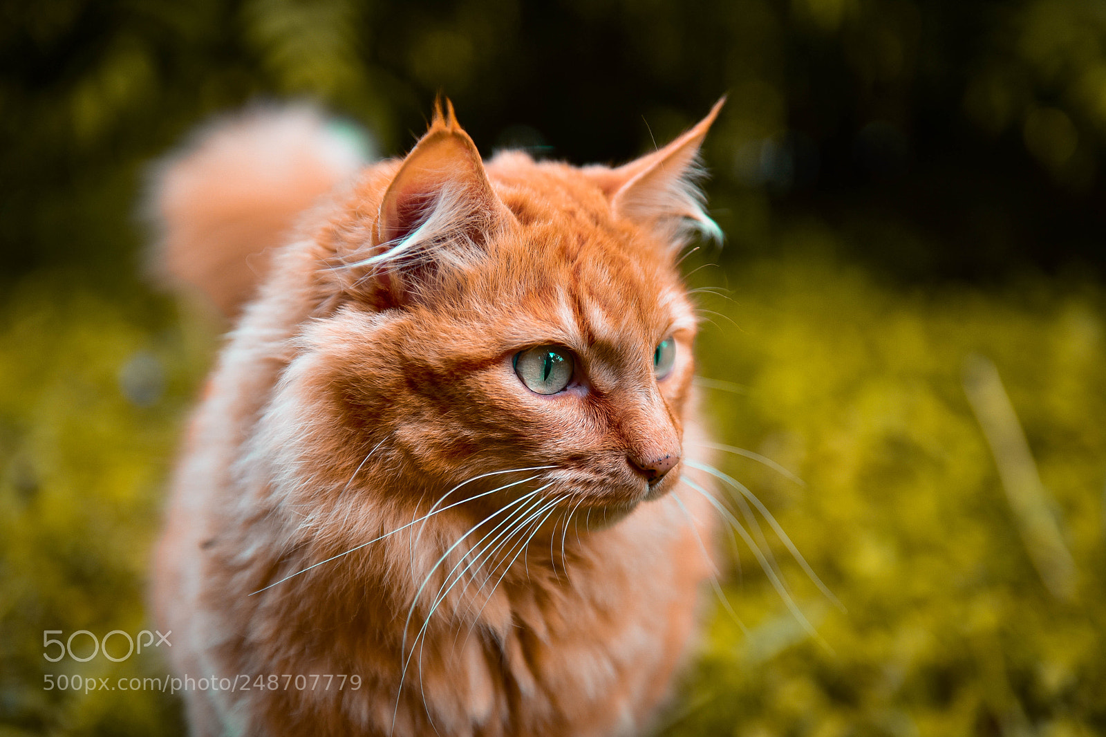 Nikon D810 sample photo. Untitled photography
