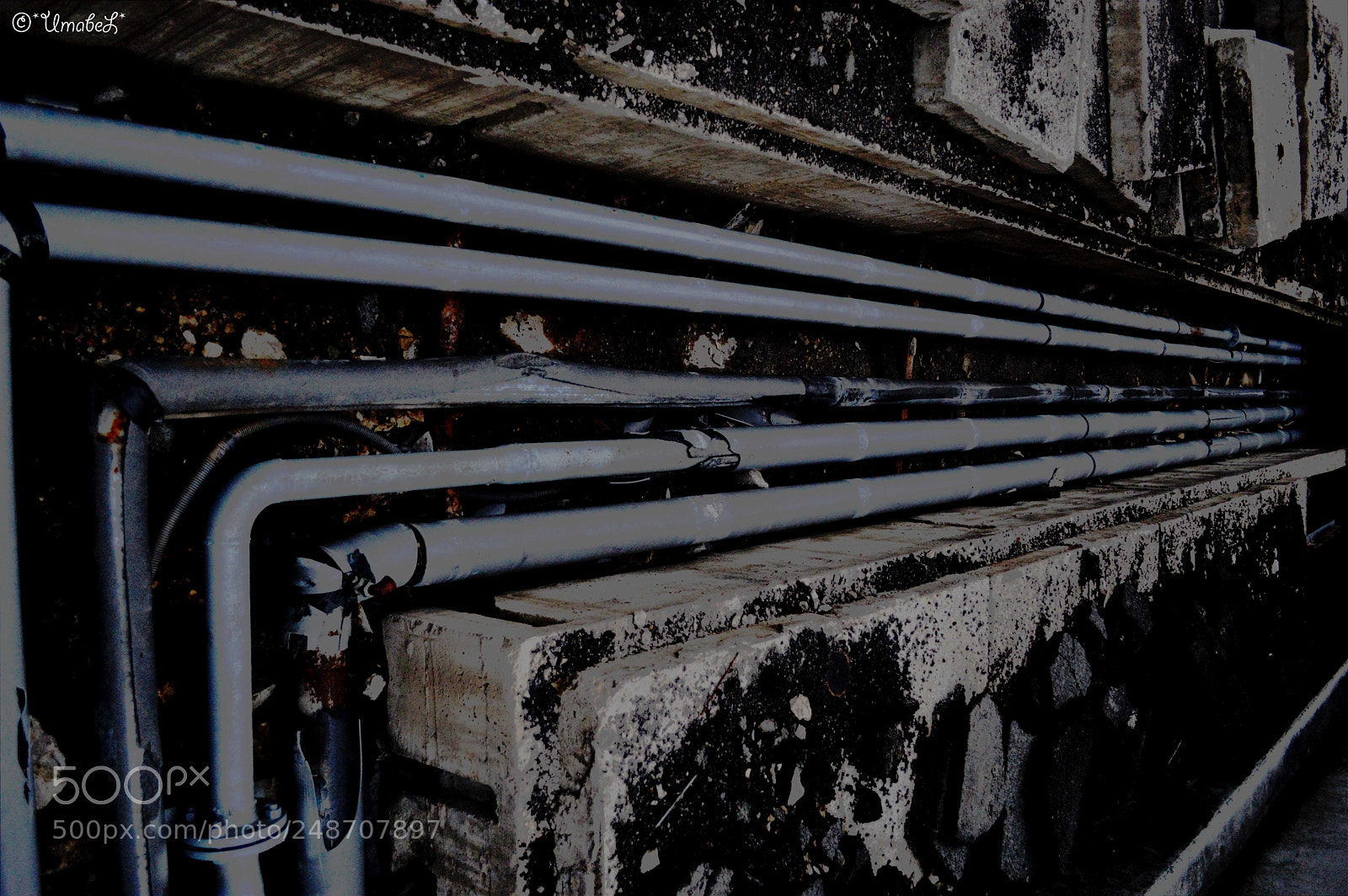 Nikon D3200 sample photo. Untitled photography