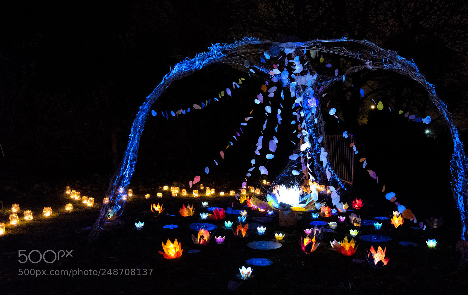 Fujifilm X-T2 sample photo. Nottingham light night photography
