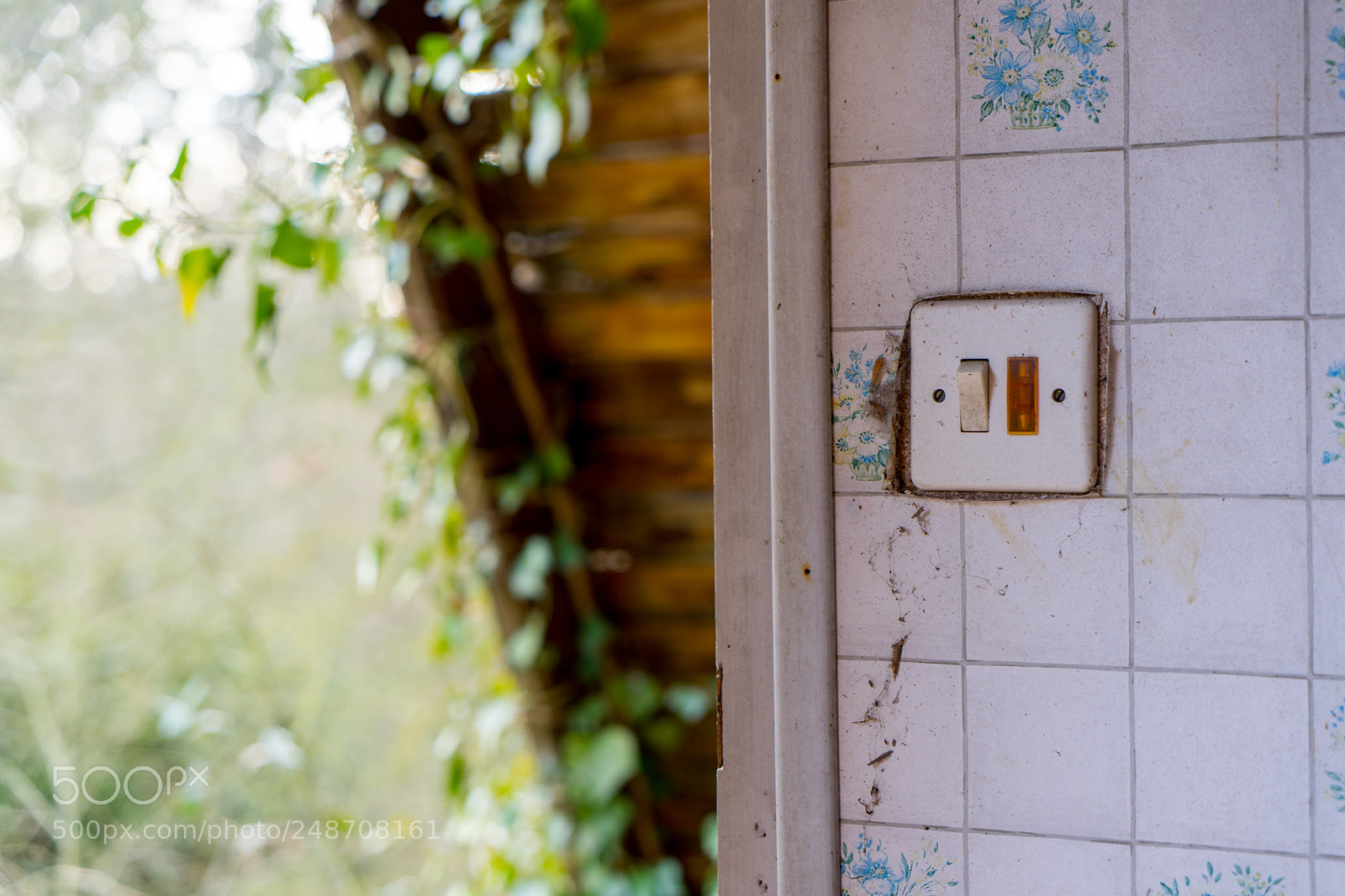 Sony a7 II sample photo. L'interrupteur photography