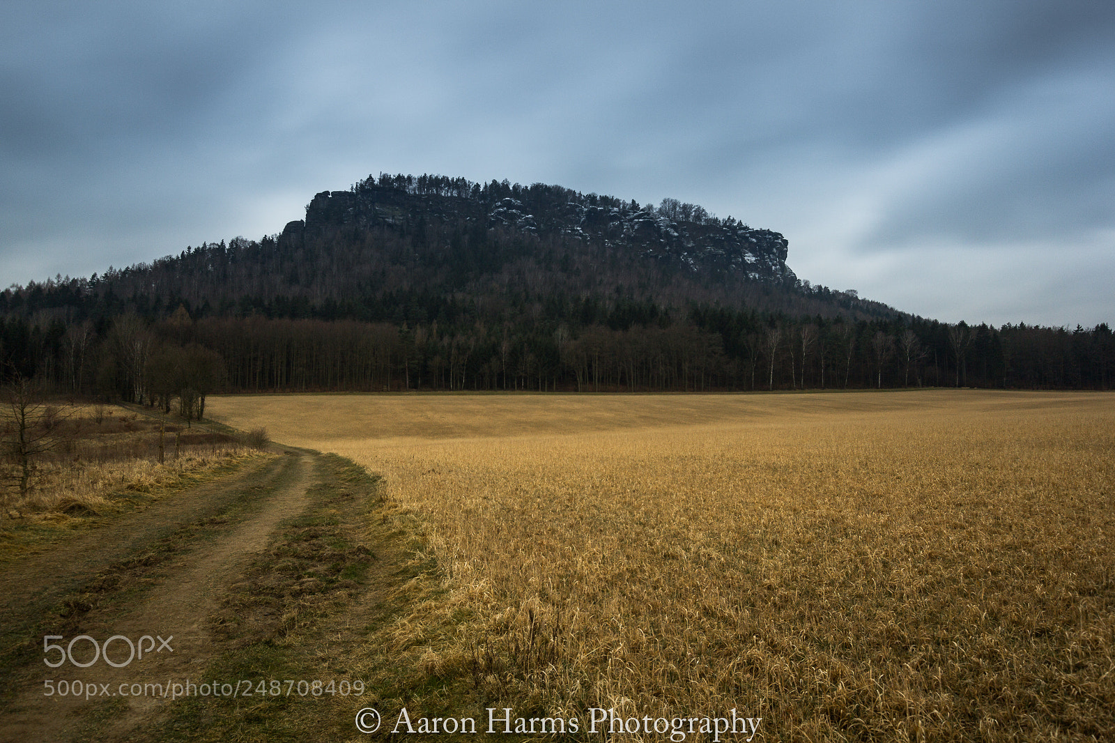 Canon EOS 60D sample photo. Lilenstein photography