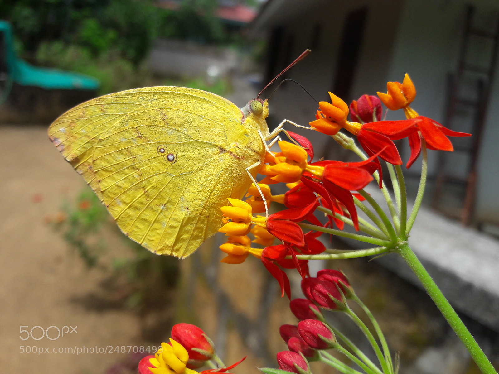 Samsung Galaxy J7 sample photo. Untitled photography