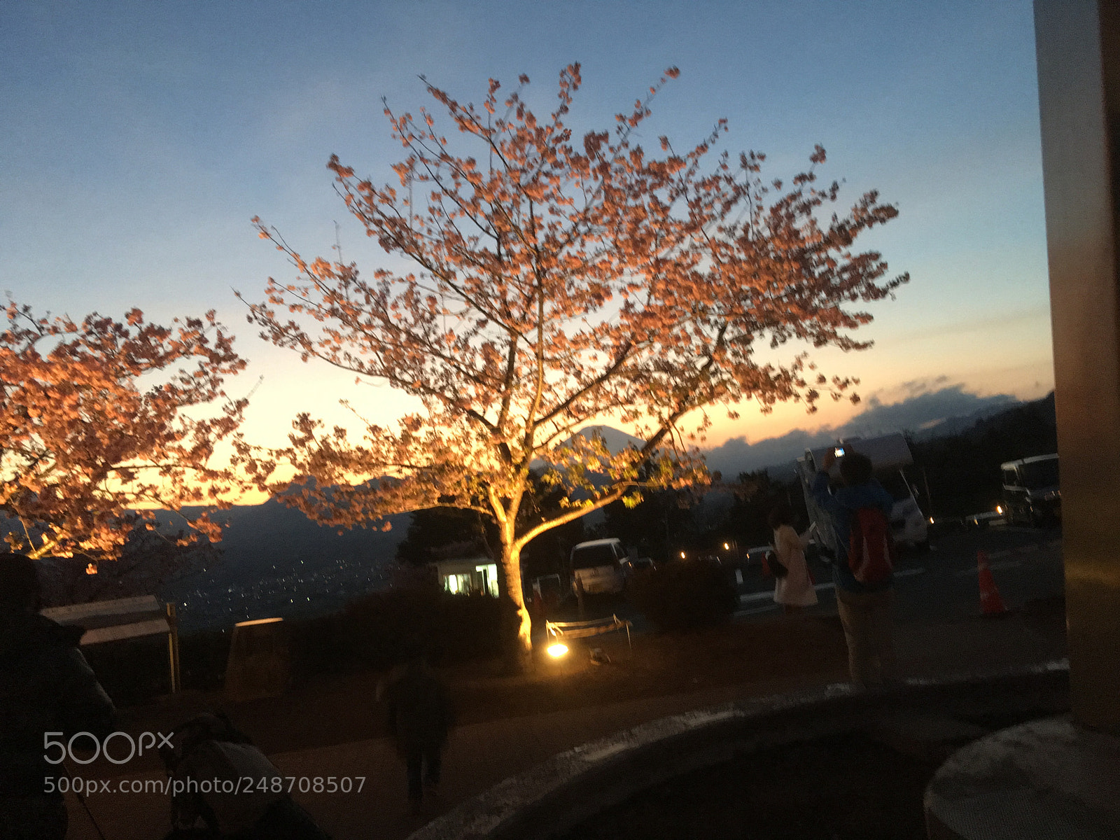 Apple iPhone 6s Plus sample photo. Untitled photography