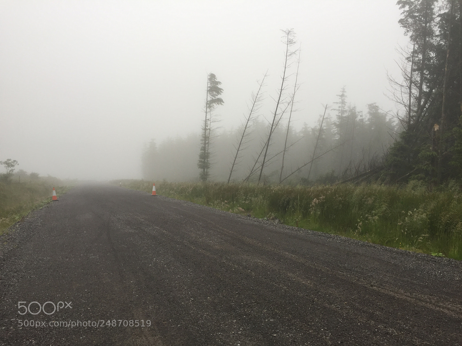 Apple iPhone 6 sample photo. Misty roads photography