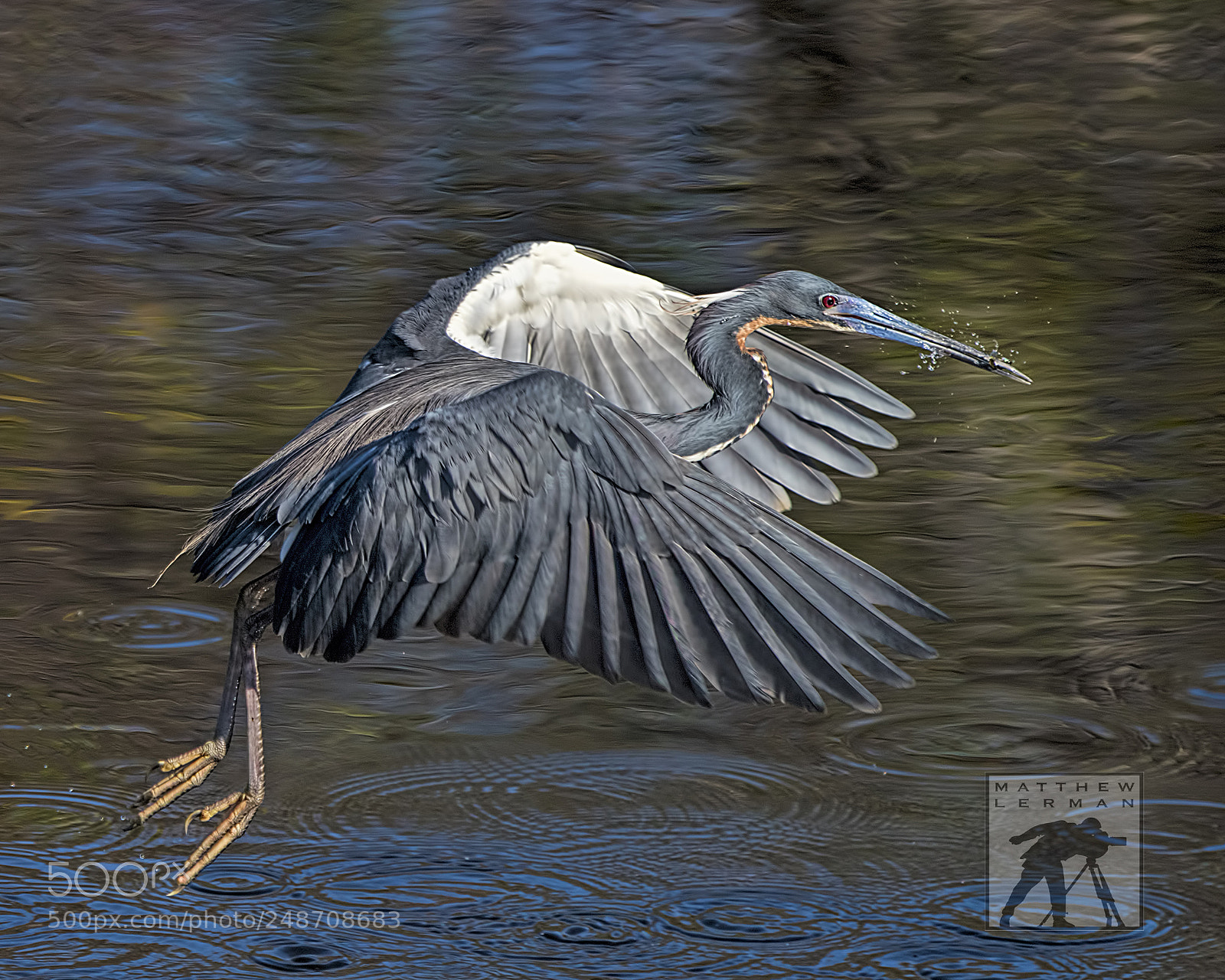 Nikon D810 sample photo. Fishing   1663 photography