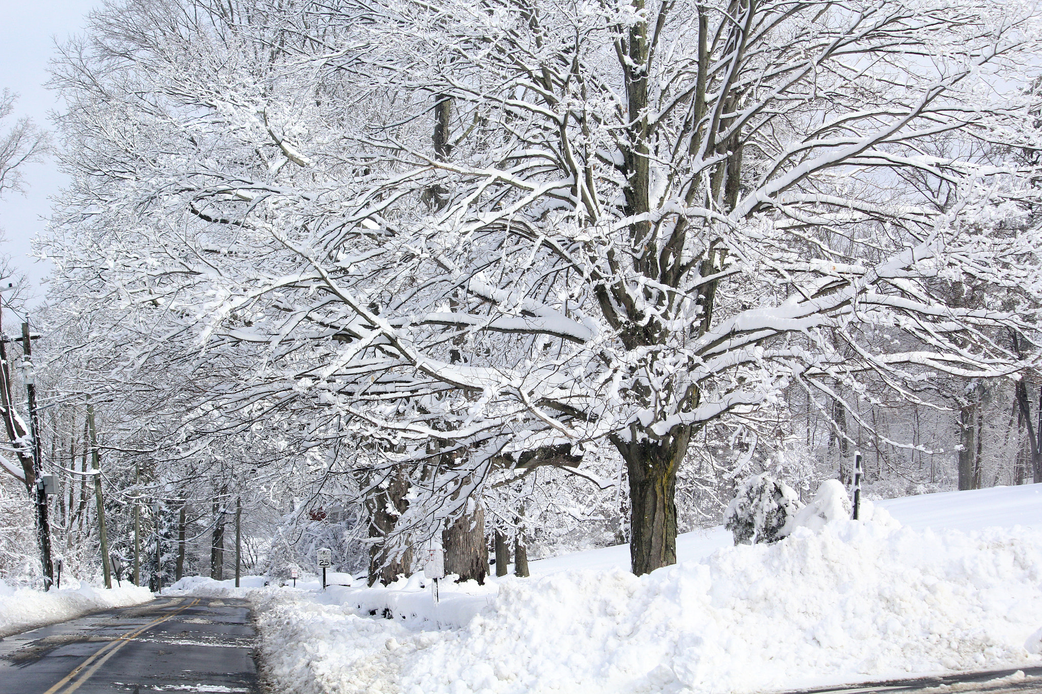 Canon EF-S 55-250mm F4-5.6 IS STM sample photo. After the blizzard photography