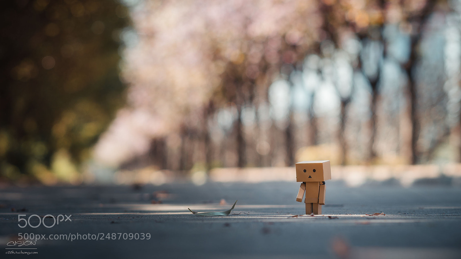 Sony a6300 sample photo. Heart d photography