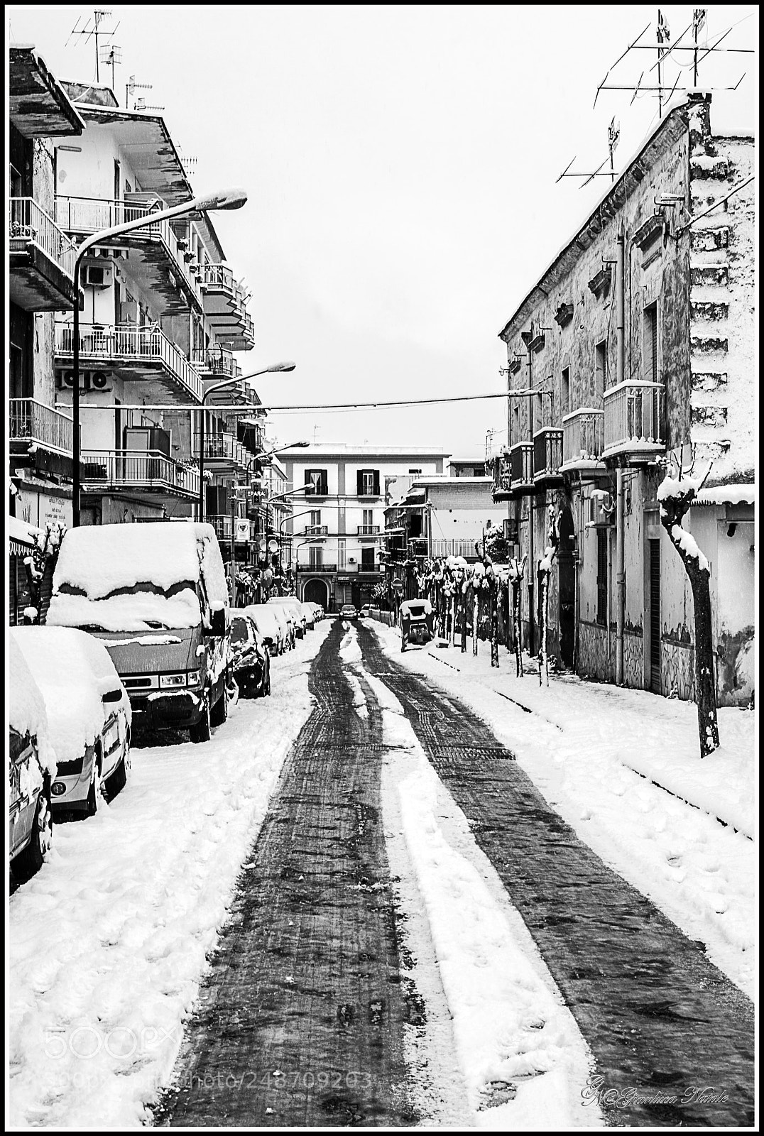Nikon D7100 sample photo. Gia photography