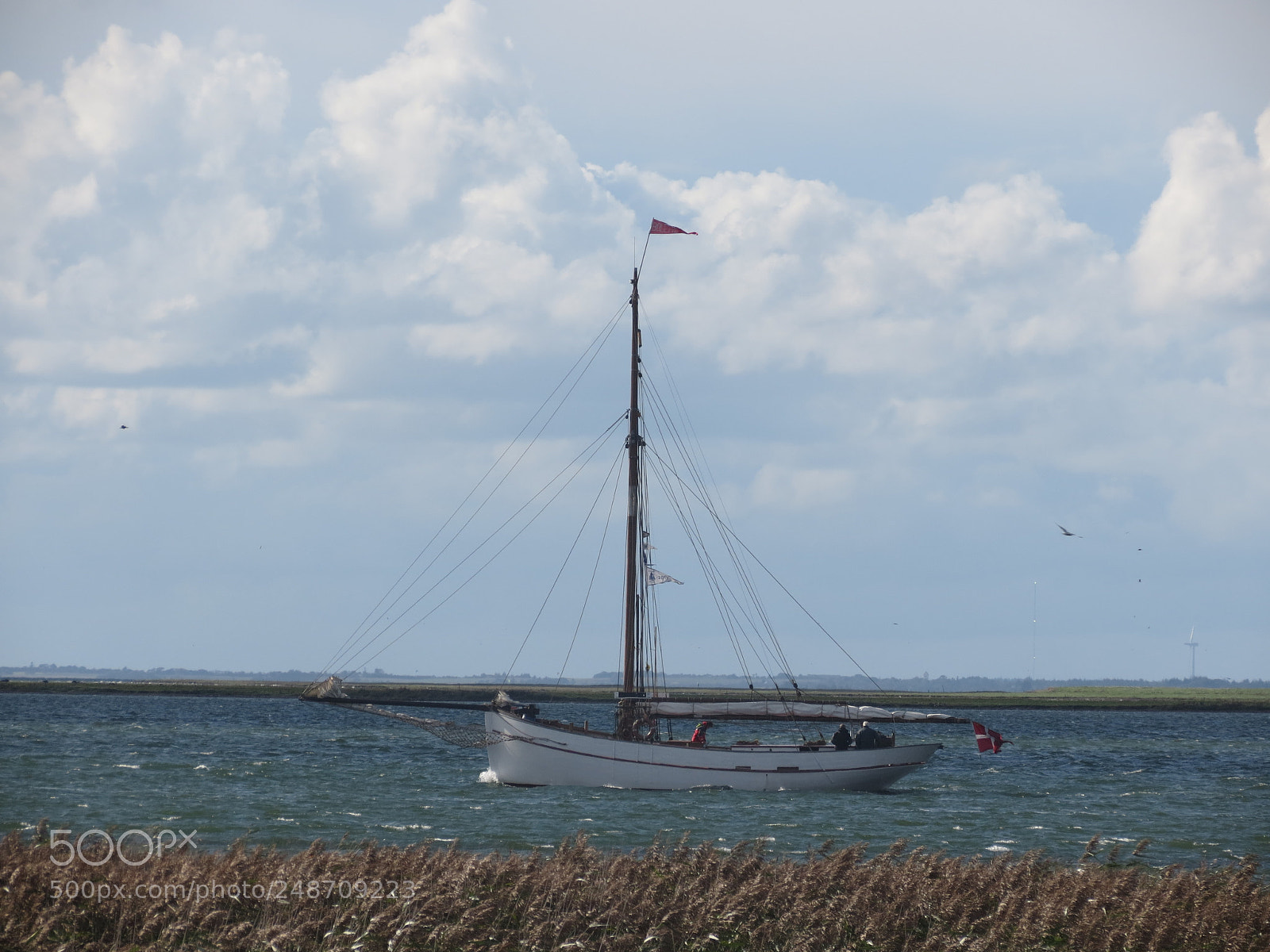 Canon PowerShot SX40 HS sample photo. Img photography