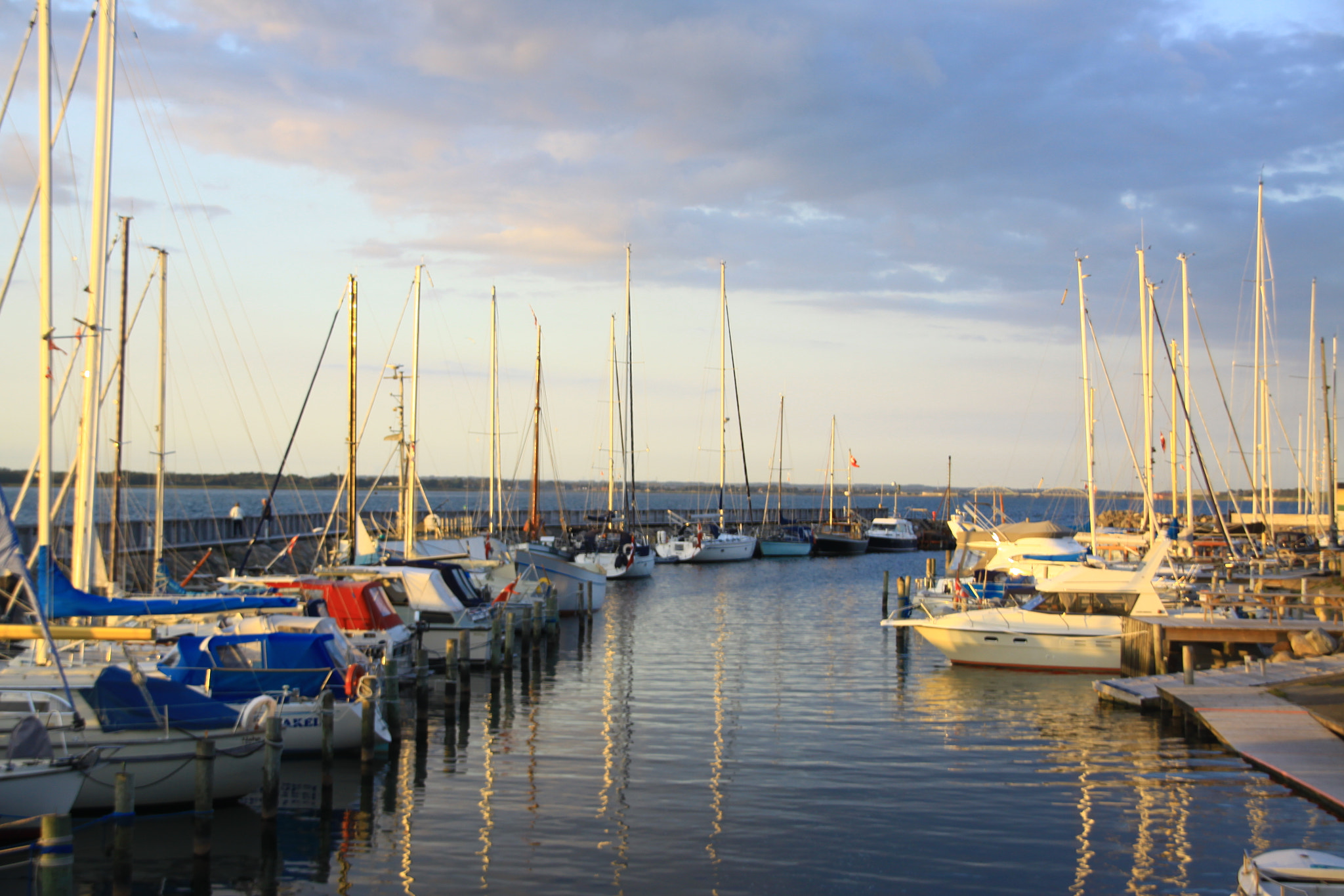 Sigma 18-200mm f/3.5-6.3 DC OS sample photo. Img photography