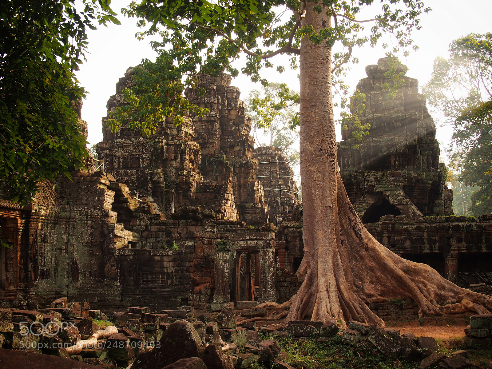 Olympus PEN E-PL5 sample photo. Early morning at angkor photography