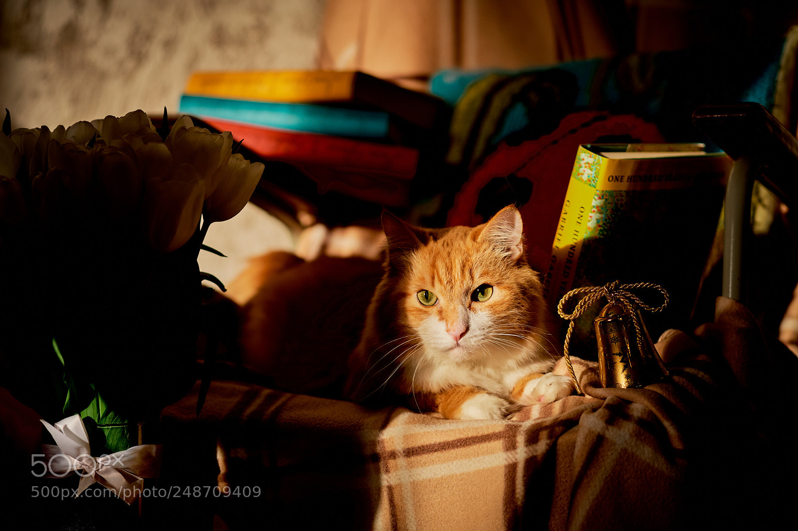 Fujifilm X-T2 sample photo. Maks photography
