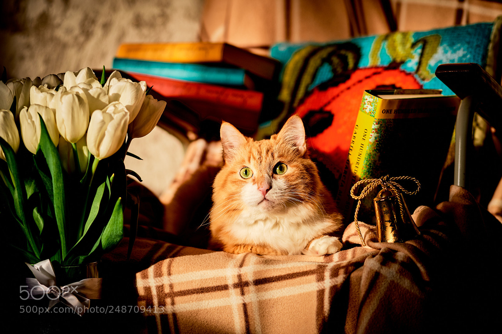 Fujifilm X-T2 sample photo. Maks photography