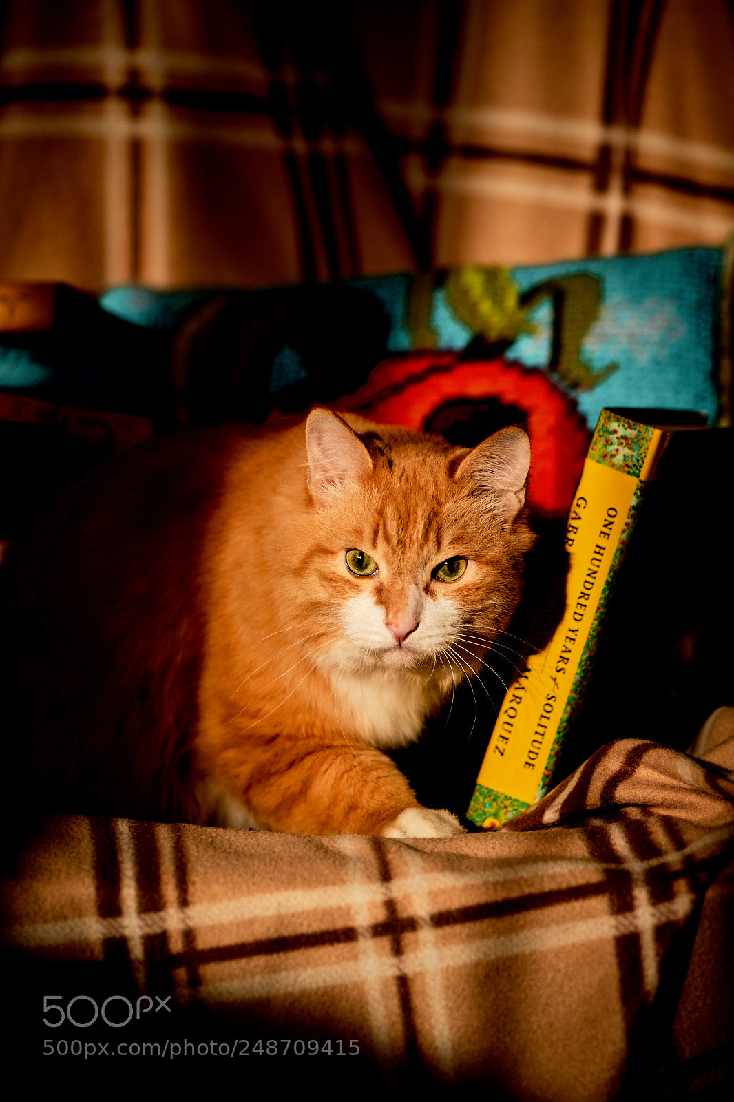 Fujifilm X-T2 sample photo. Maks photography