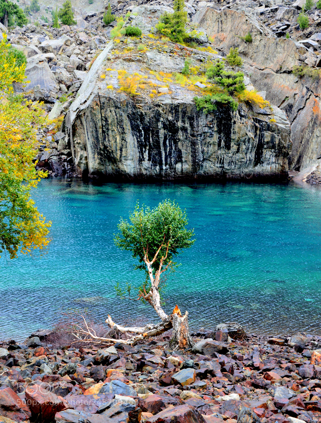Nikon D3200 sample photo. Naltar lake pakistan photography