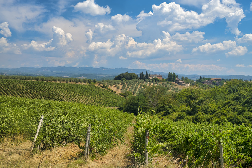 Old typical farm in the Chianti region (Tuscany) by Claudio G. Colombo on 500px.com