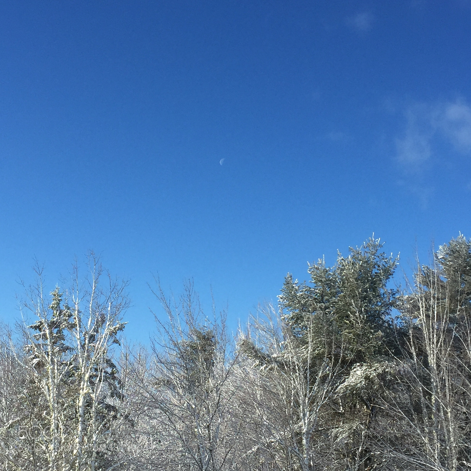 Apple iPhone 6 sample photo. Beautiful morning in maine photography