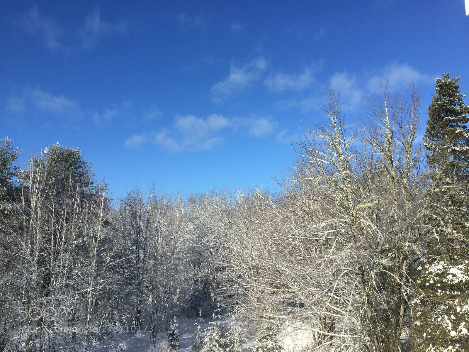 Apple iPhone 6 sample photo. Gorgeous morning in maine photography
