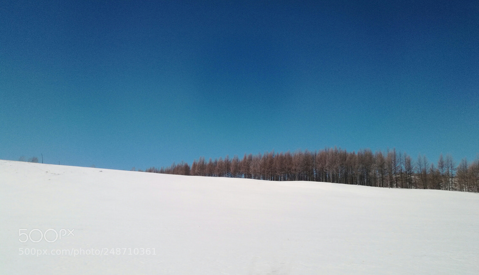 HUAWEI Mate 8 sample photo. Untitled photography