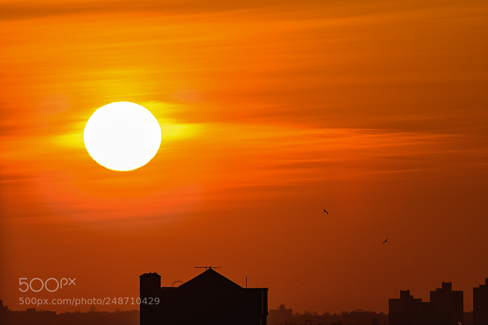 Nikon D850 sample photo. Rising sun photography