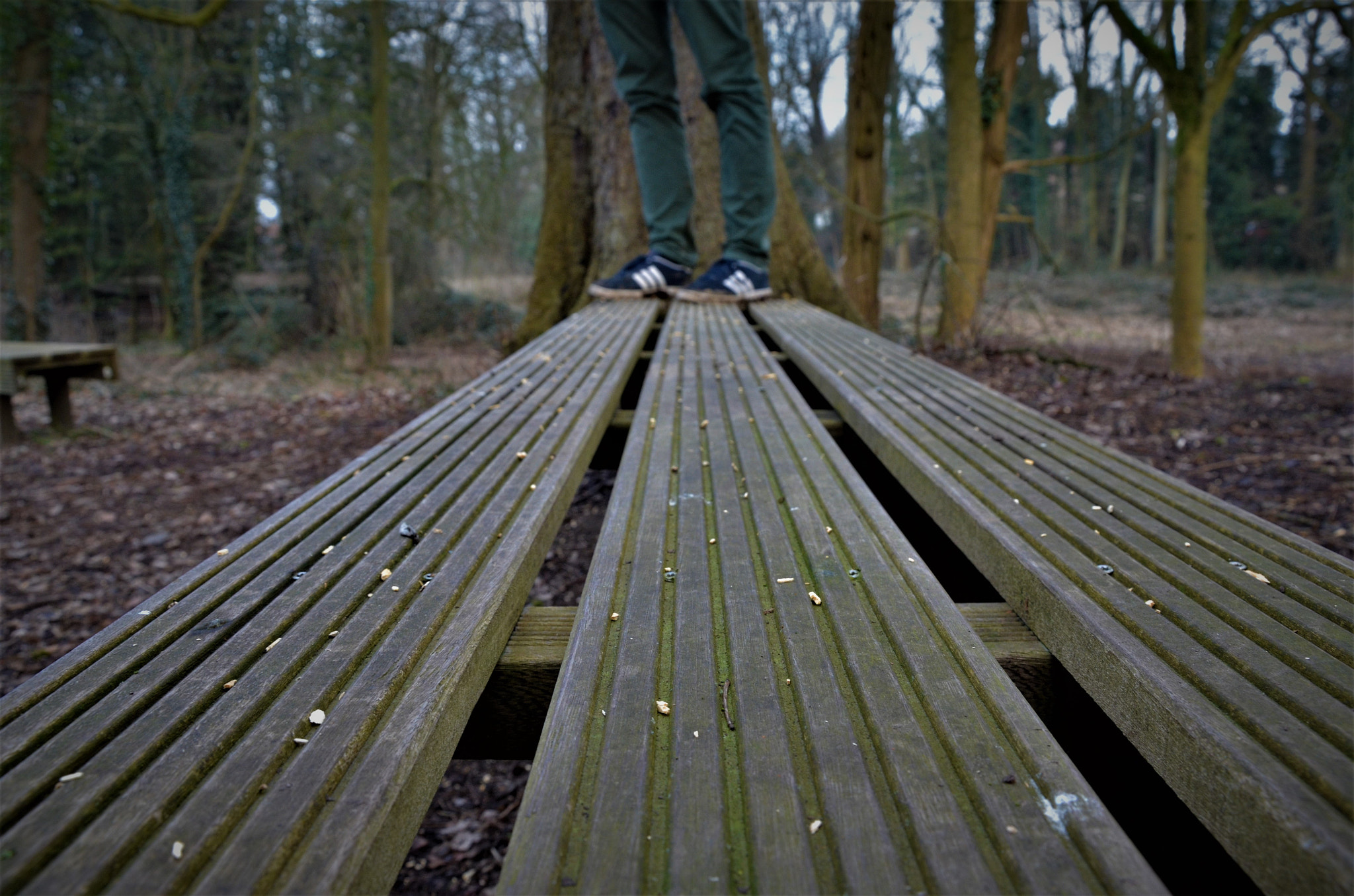 Bench