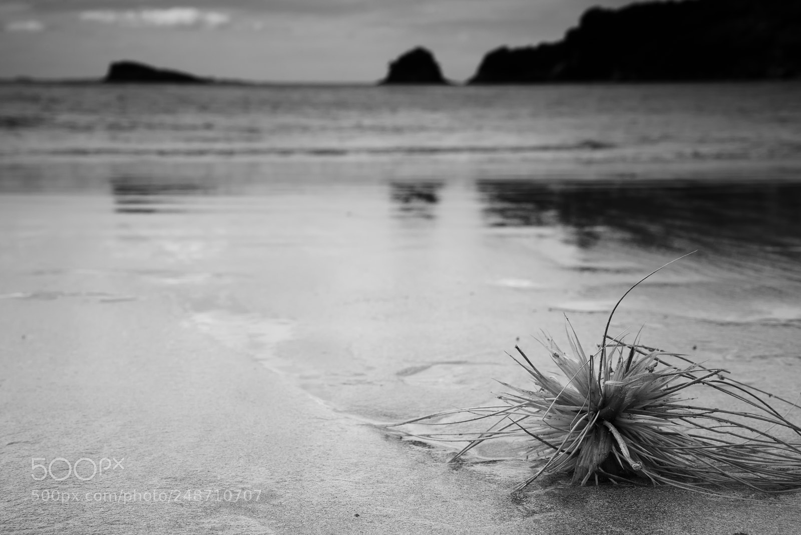 Sony a7R sample photo. On the beach photography