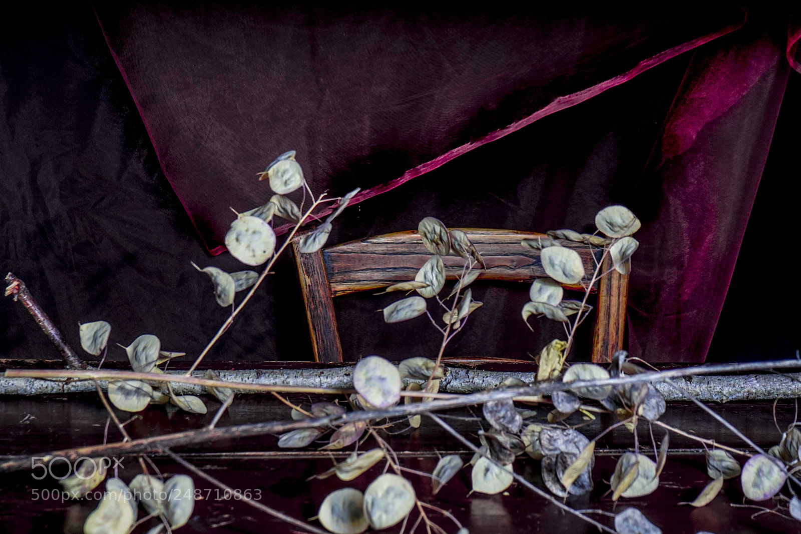 Sony a6300 sample photo. Natura morta photography
