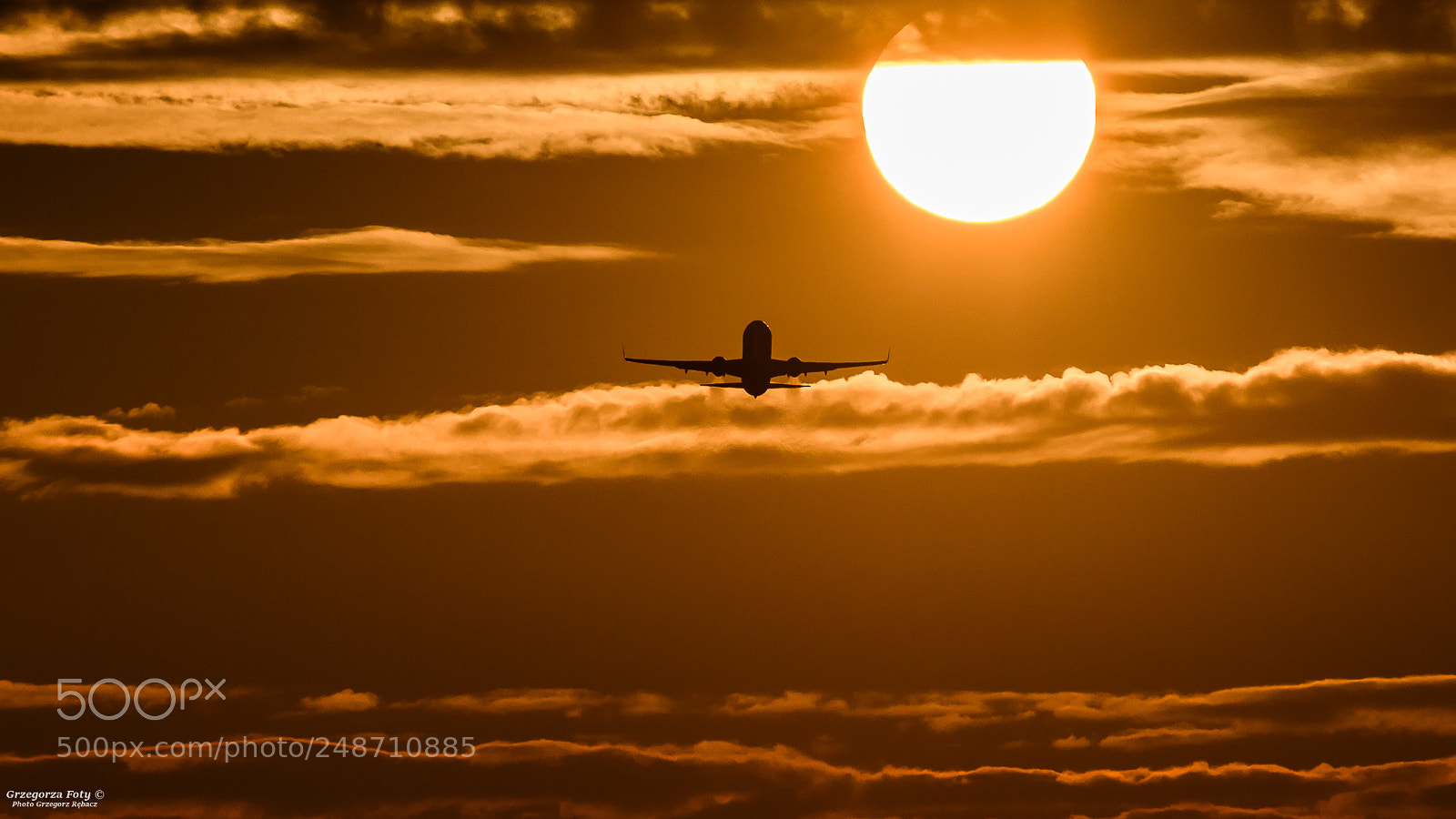 Nikon D7100 sample photo. Flight towards the sun photography