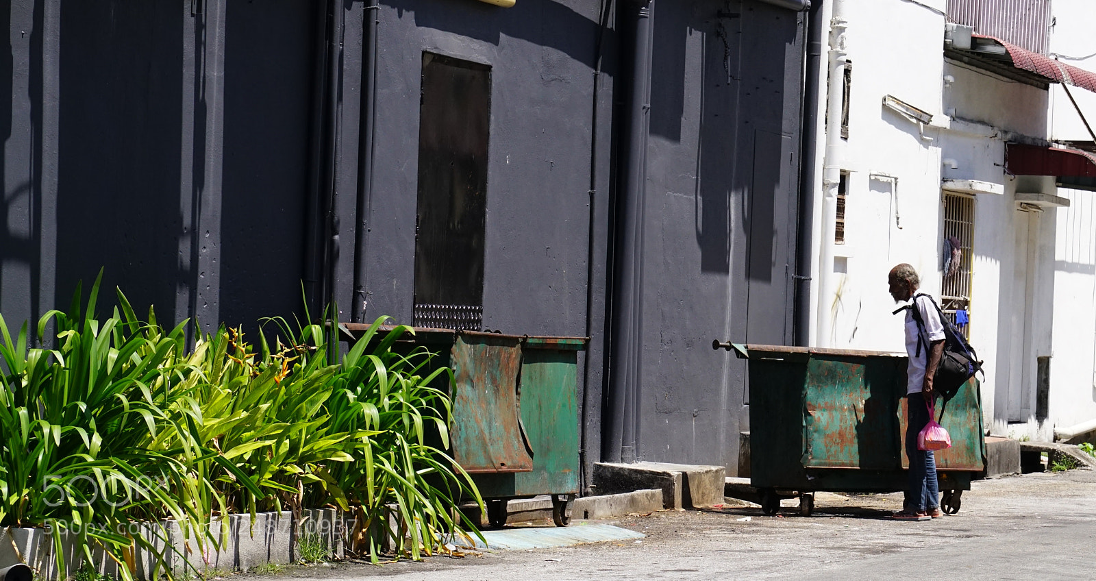 Sony a7R II sample photo. Lunch from a bin photography