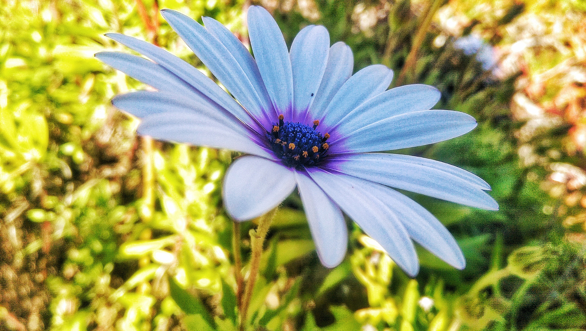 HTC ONE M8 sample photo