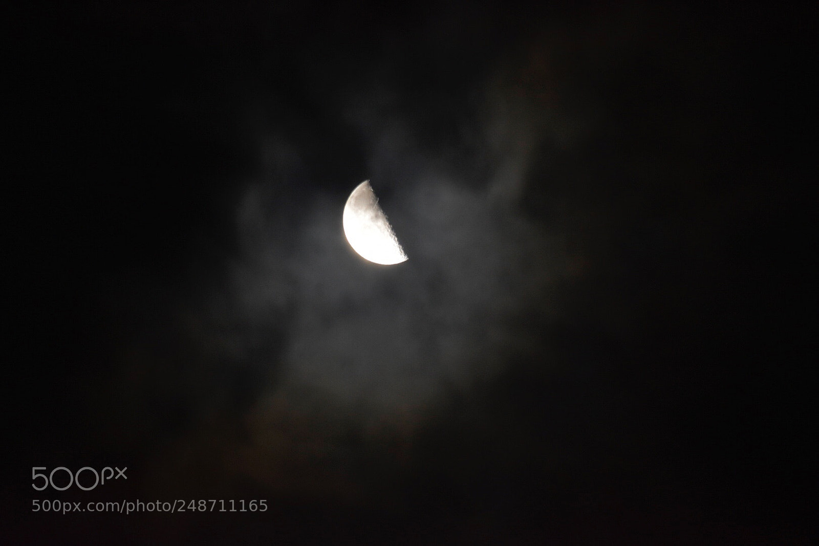 Nikon D3400 sample photo. By the light of photography