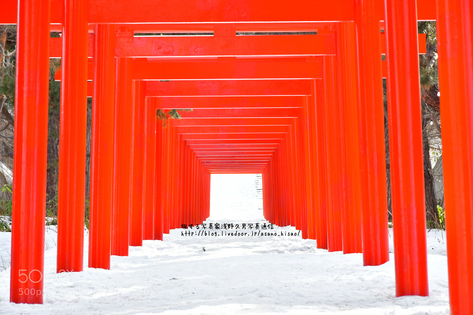 Nikon D7500 sample photo. Sapporo.fushimi shrine. photography