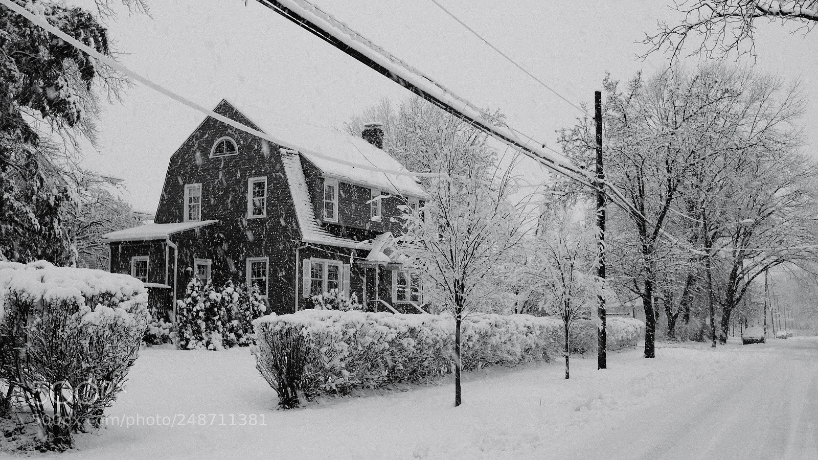 Nikon D5100 sample photo. Untitled photography