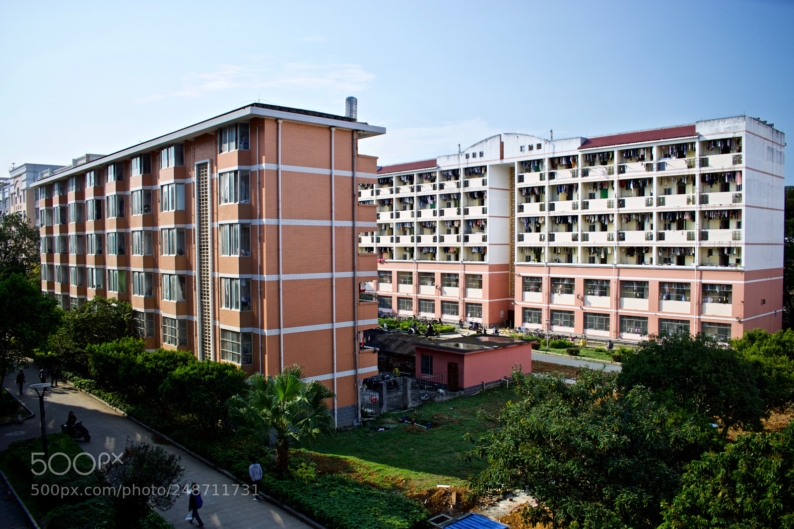 Nikon D5600 sample photo. Through it photography