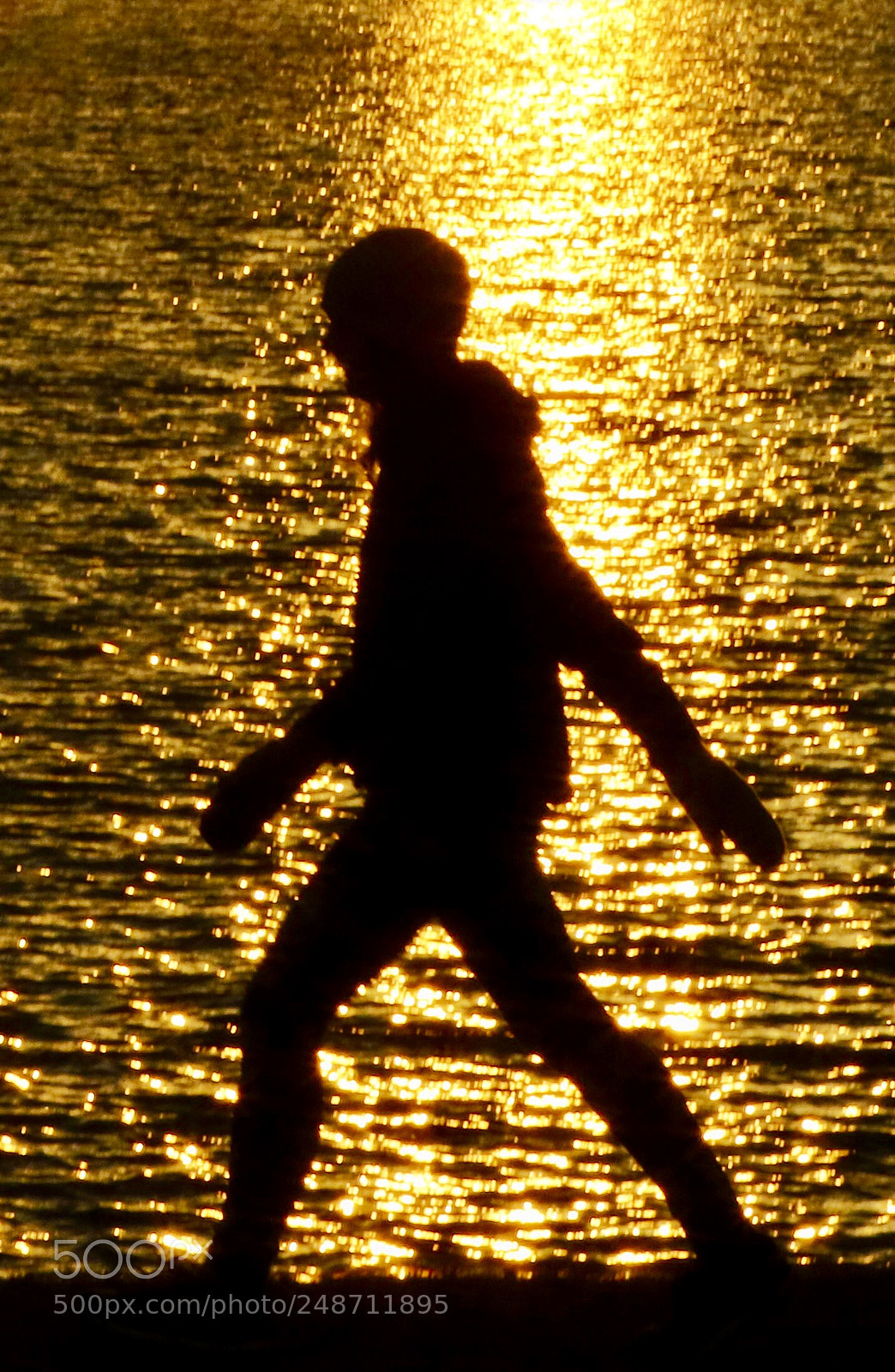 Canon EOS 7D Mark II sample photo. Morning. walk photography