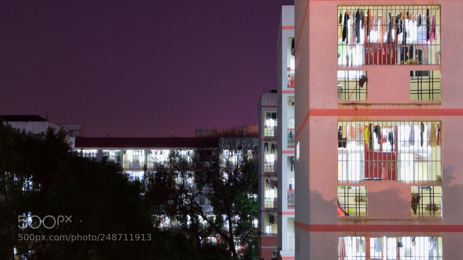 Nikon D5600 sample photo. Just for what？ photography