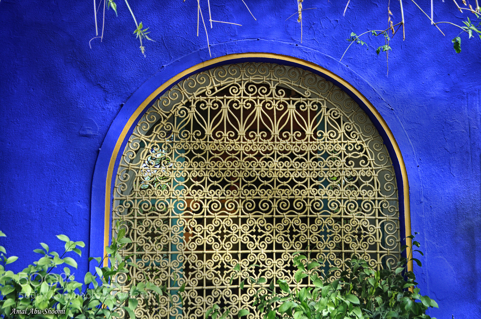 Nikon D5000 sample photo. A window photography