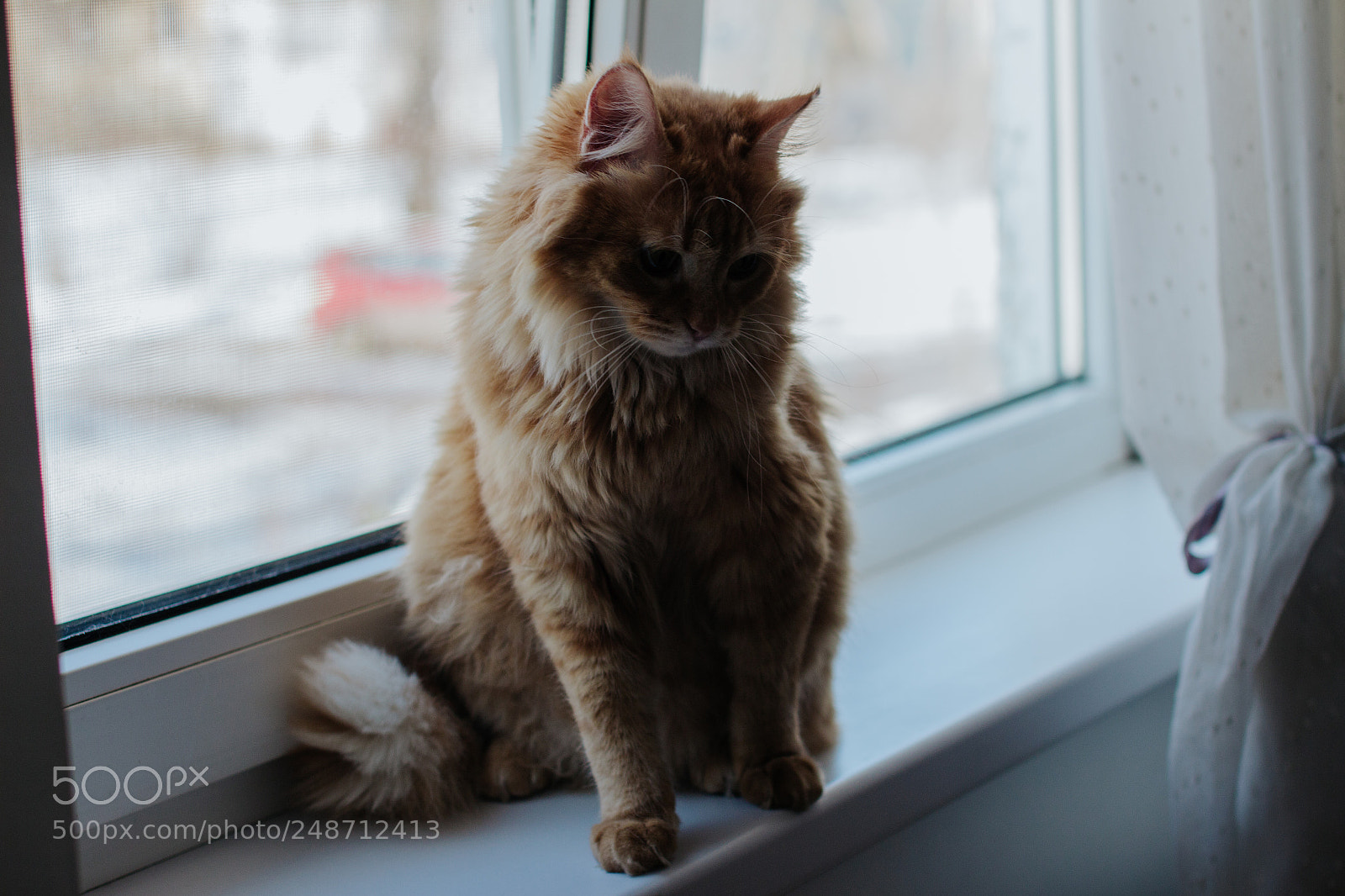 Canon EOS 700D (EOS Rebel T5i / EOS Kiss X7i) sample photo. Untitled photography