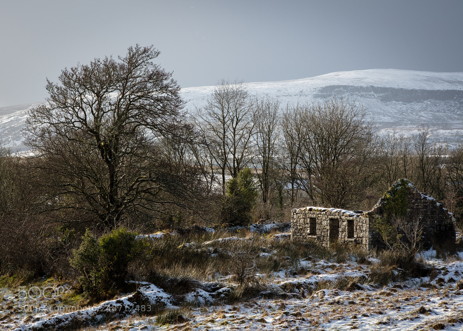 Canon EOS 5DS sample photo. Barn in the snow photography