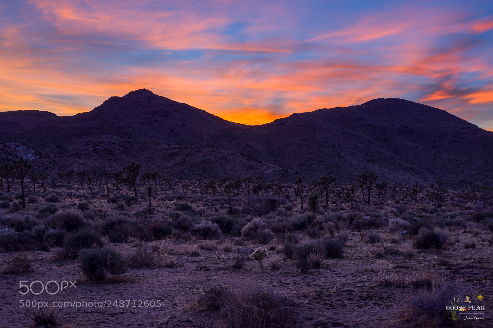 Sony a7R sample photo. Twenty minutes past sundown photography
